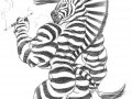 Zebra-Booty.jpg